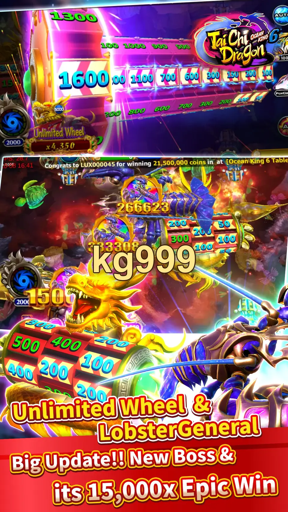 kg999 লগইন